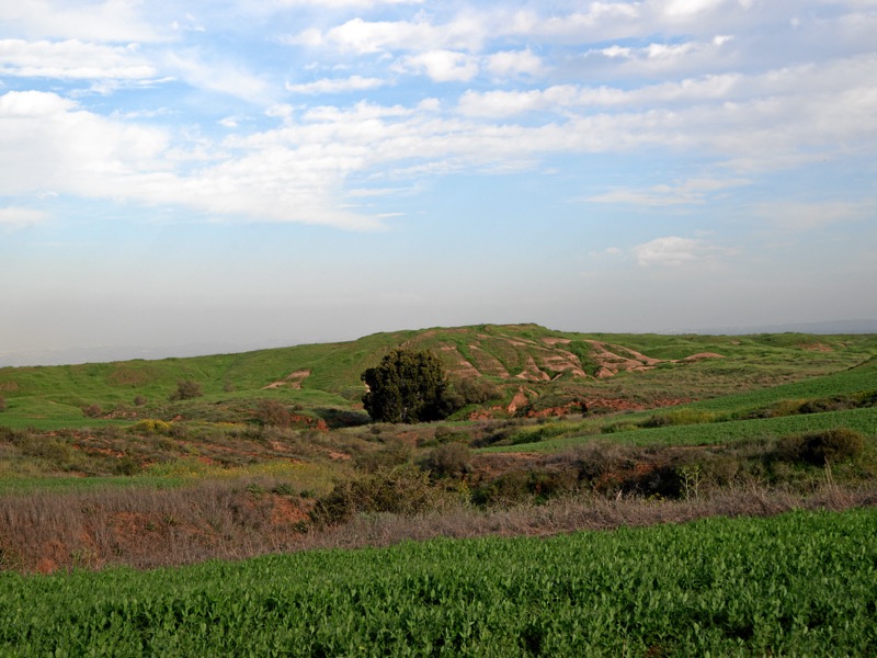 שמורת הבתרונות של רוחמה בצפון הנגב